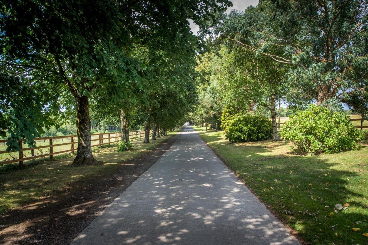Greenway Manor Hotel Waterford Buitenkant foto